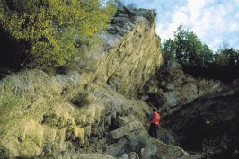 I gessi presso la cava del farneto