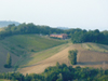 Agriturismo Il Poggiolo Passeggiate